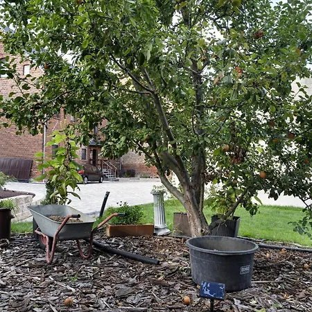 公寓 Spree - Oase 施普伦贝格